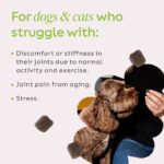 068a5eb9-fc41-790e-8000-1f312c5c7db7._AC_SL1200_QL100_V1_