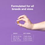 51jTPsiSjTL._AC_SL1000_