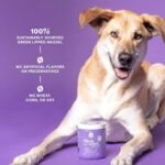 51jTPsiSjTL._AC_SL1000_