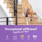 51jTPsiSjTL._AC_SL1000_