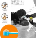 71orQgShRYL._AC_SL1500_