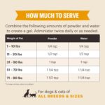 71PA+qB+dOL._AC_SL1381_