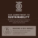 71pLrVFFFQL._AC_SY300_SX300_QL70_FMwebp_