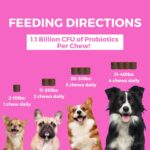 71QIM+lmSqL._AC_SL1500_