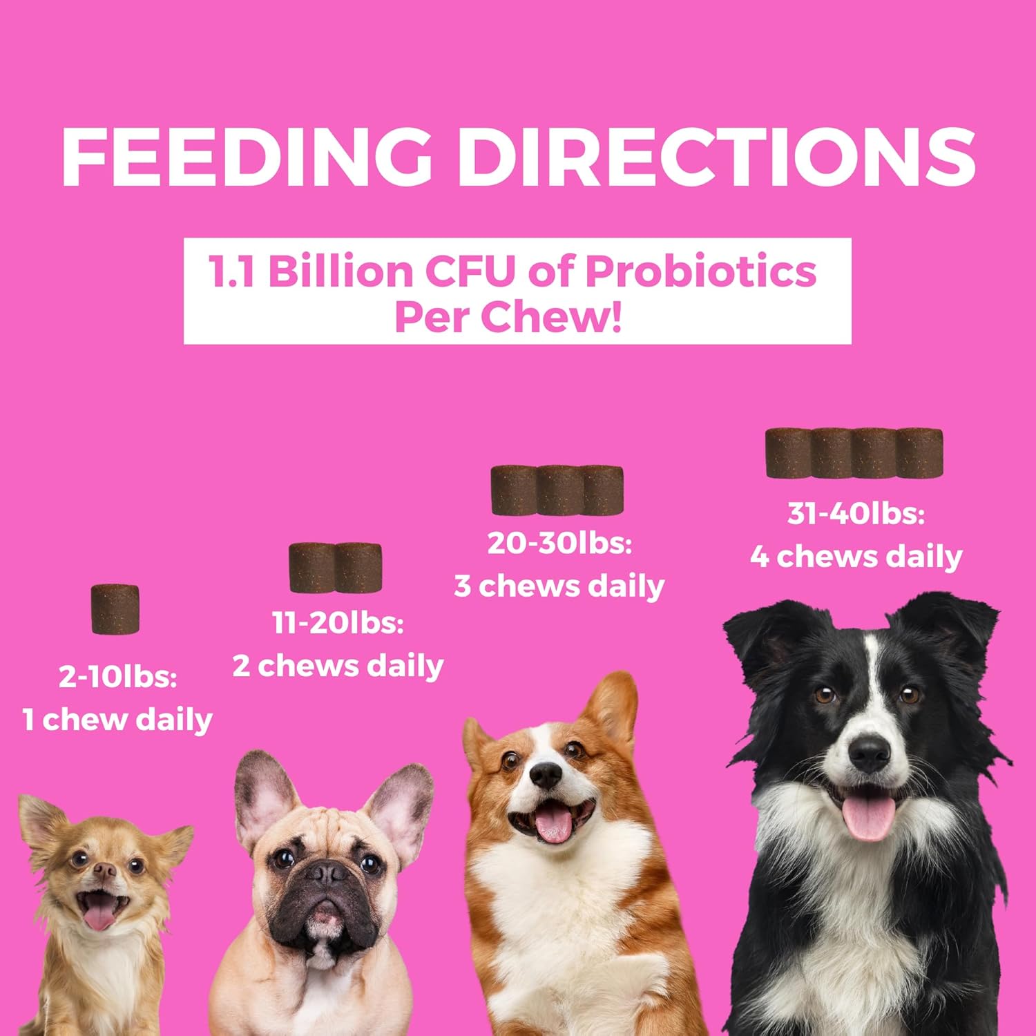 71TMBtQDZdL._AC_SL1500_