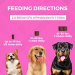 61FL5uunfxL._AC_SL1500_