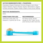 rsz_171b78ylwy7l_ac_sy300_sx300_ql70_ml2_