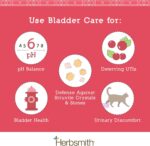 612ul-a4KNL._AC_SY300_SX300_QL70_FMwebp_