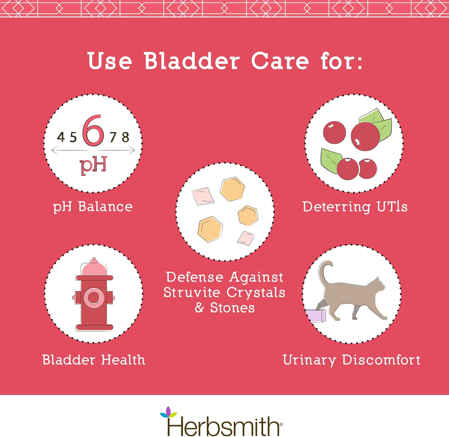 71uNvYd+ctL._AC_SL1500_