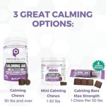 71xg5GW5p1L._AC_SY450_