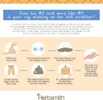 618tq2EefOL._AC_SL1333_