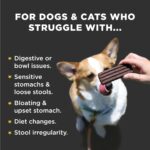 711DTD6y9dL._AC_SL1500_