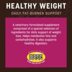 81SXpn2TQOL._AC_SL1500_