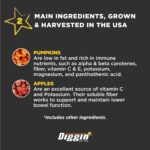 711DTD6y9dL._AC_SL1500_