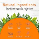 71lZk4tMt3L._AC_SL1500_