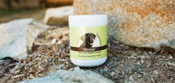 Herbsmith GLIMMER CHEWS LARGE Dog 60 Count