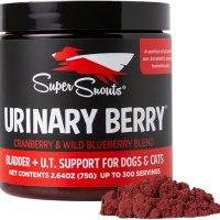 81-X9gPoi1L._AC_SX679_-removebg-preview